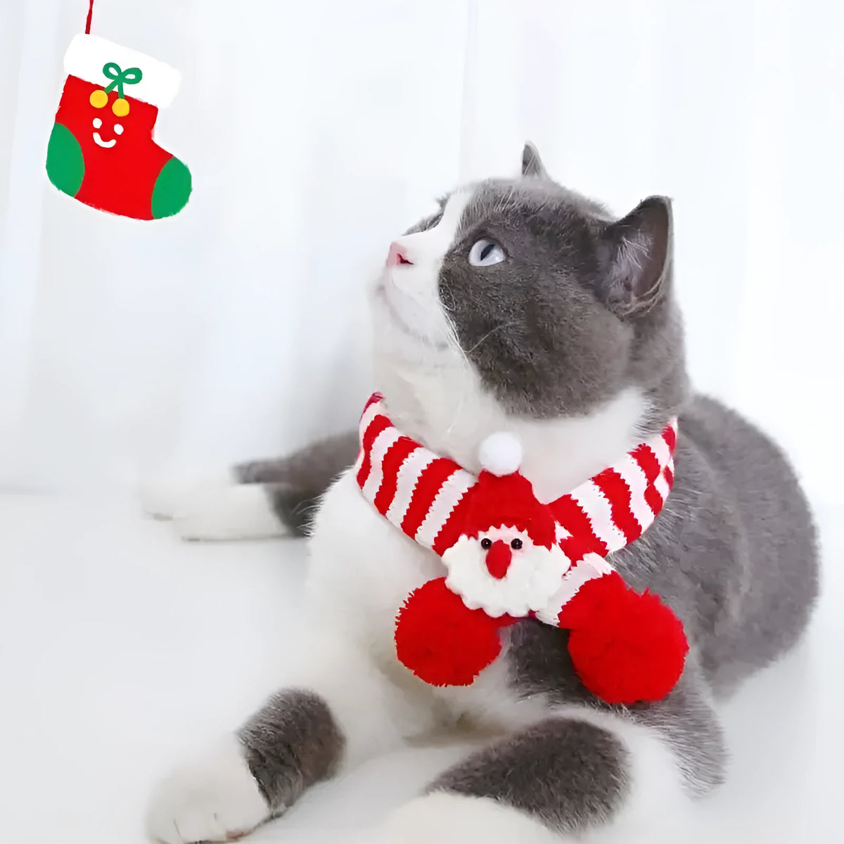 Adjustable small pet knitted scarf collar in red for dogs and cats up to 10kg handmade with S size 40cm length