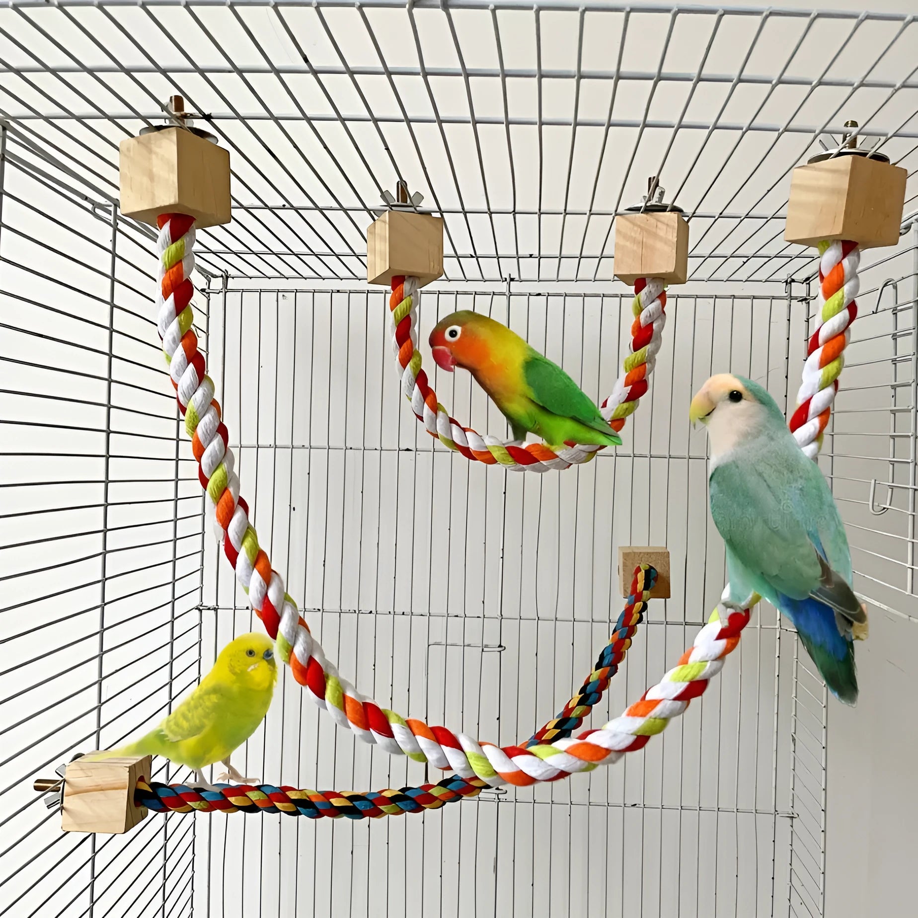 Parrot climbing rope toy with wooden swing rings on natural wood rope, 30-60cm length options