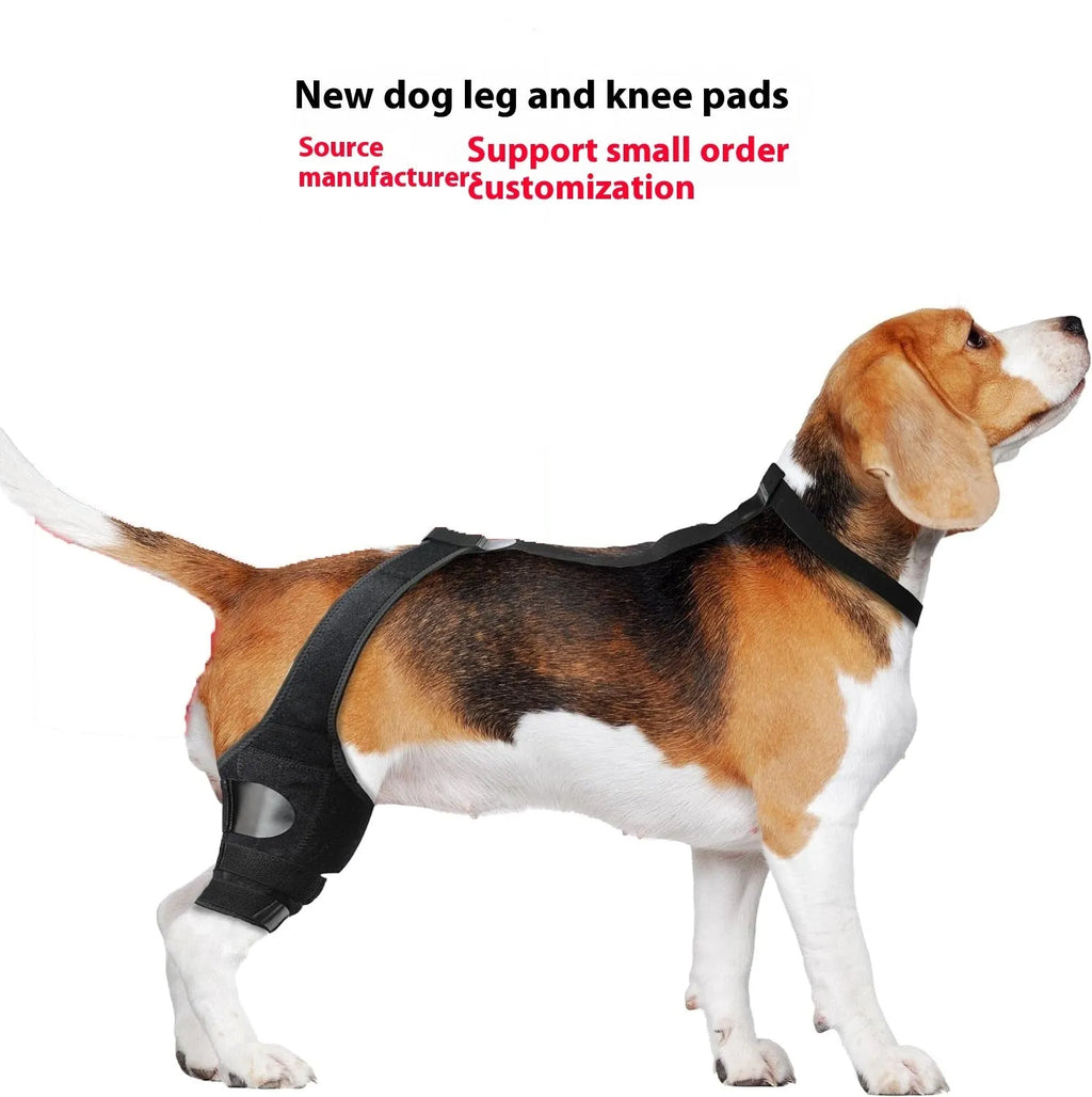 Dog hind leg knee brace assist strap in neoprene with adjustable straps for joint support