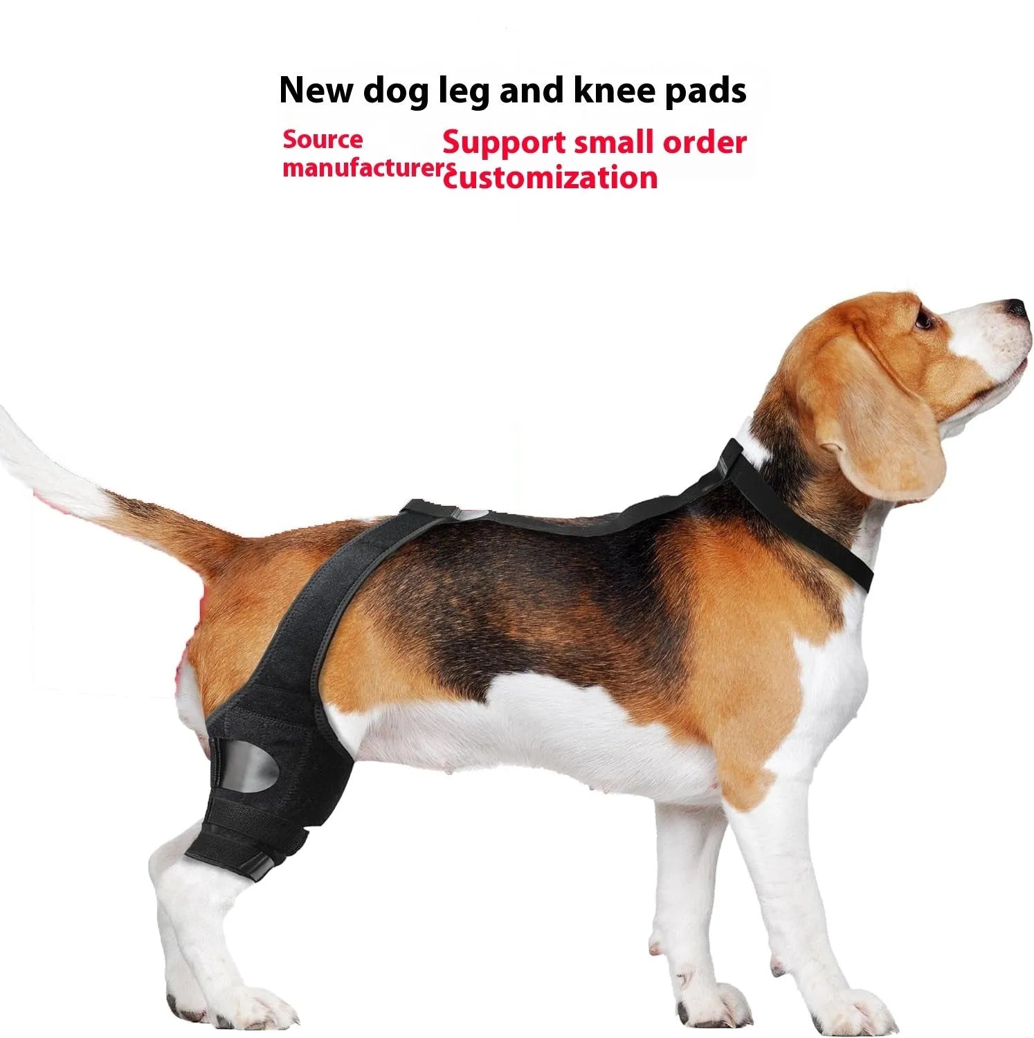 Dog hind leg knee brace assist strap in neoprene with adjustable straps for joint support