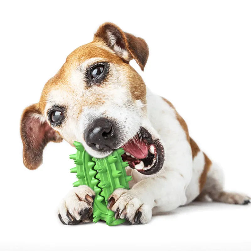 Green cactus-shaped dog toothbrush toy with textured bumps and a central treat channel on a white background.