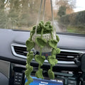 Green knitted wool car plant hanger with white rope, holding a small pot.