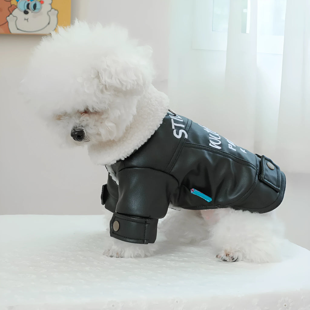 Beige fleece-lined padded dog coat on a small dog, showing chest measurement and length sizing.