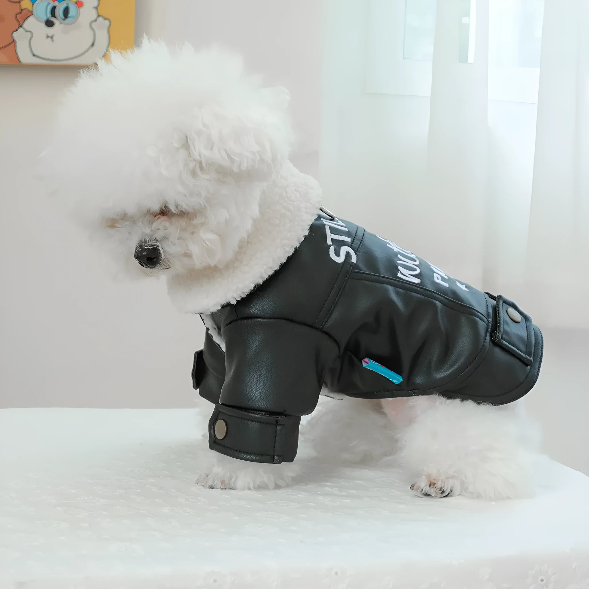 Beige fleece-lined padded dog coat on a small dog, showing chest measurement and length sizing.
