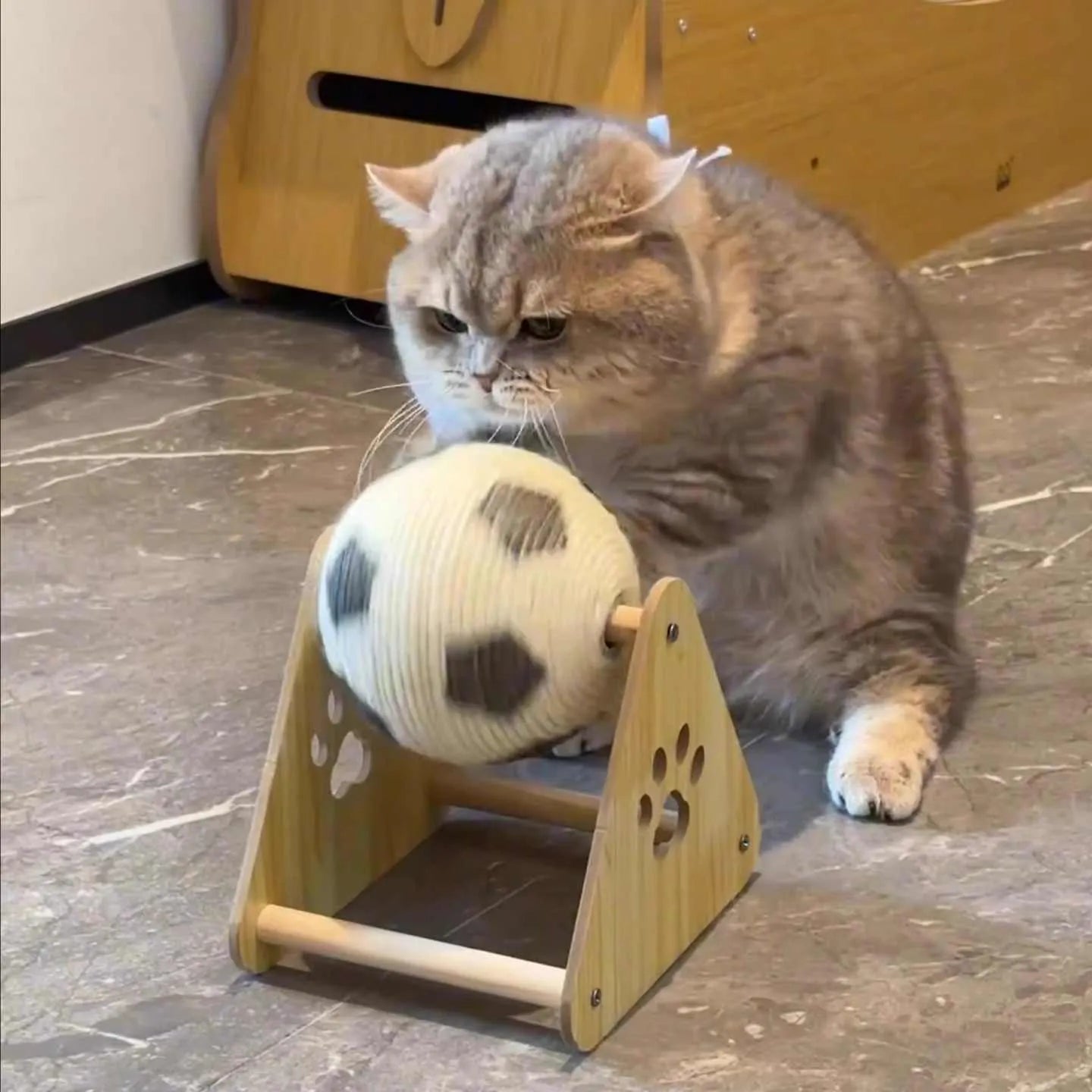Vertical wooden cat scratch board with sisal rope surface in football style for claw grinding