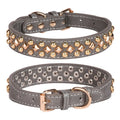 Rivet leather dog collar with golden rivet decoration in retro style, available in black brown grey green and red sizes XS to XL