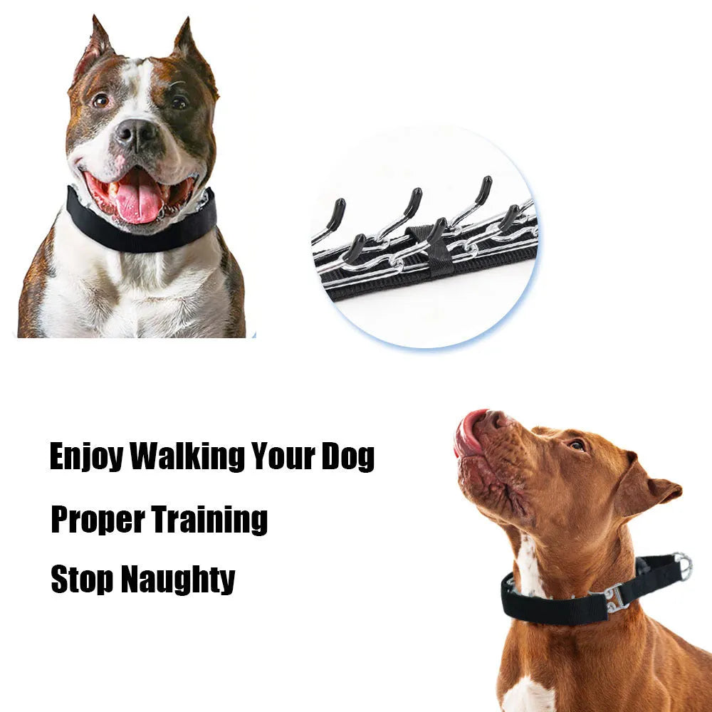 Metal spiked dog training collar with a removable blue reflective cover, shown in large size.