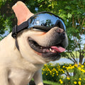 Set of pet sunglasses goggles in black large frame and white large frame styles with ABS frame for dog wind protection