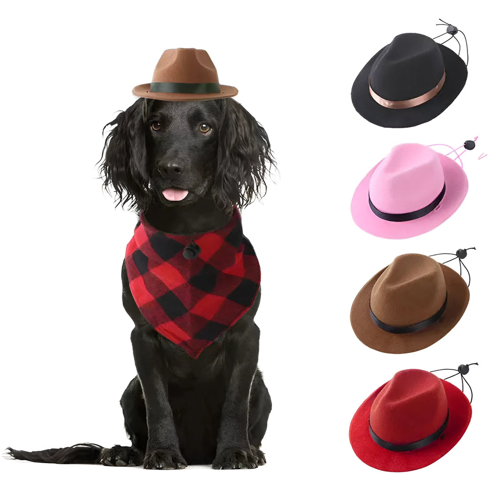 Handmade wool felt mini pet hat in S size 155cm diameter for small dogs