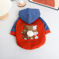 Red cotton dog jumper shown on a small to medium-sized dog, suitable for breeds like Teddy or Bichon.