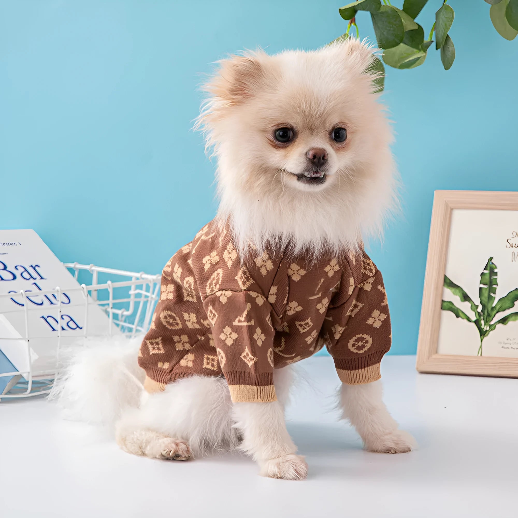 A dog wearing a thick wool sweater in a monochrome colour, styled in a European American design.