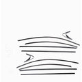Stainless steel window trim strip with black titanium finish for window moulding