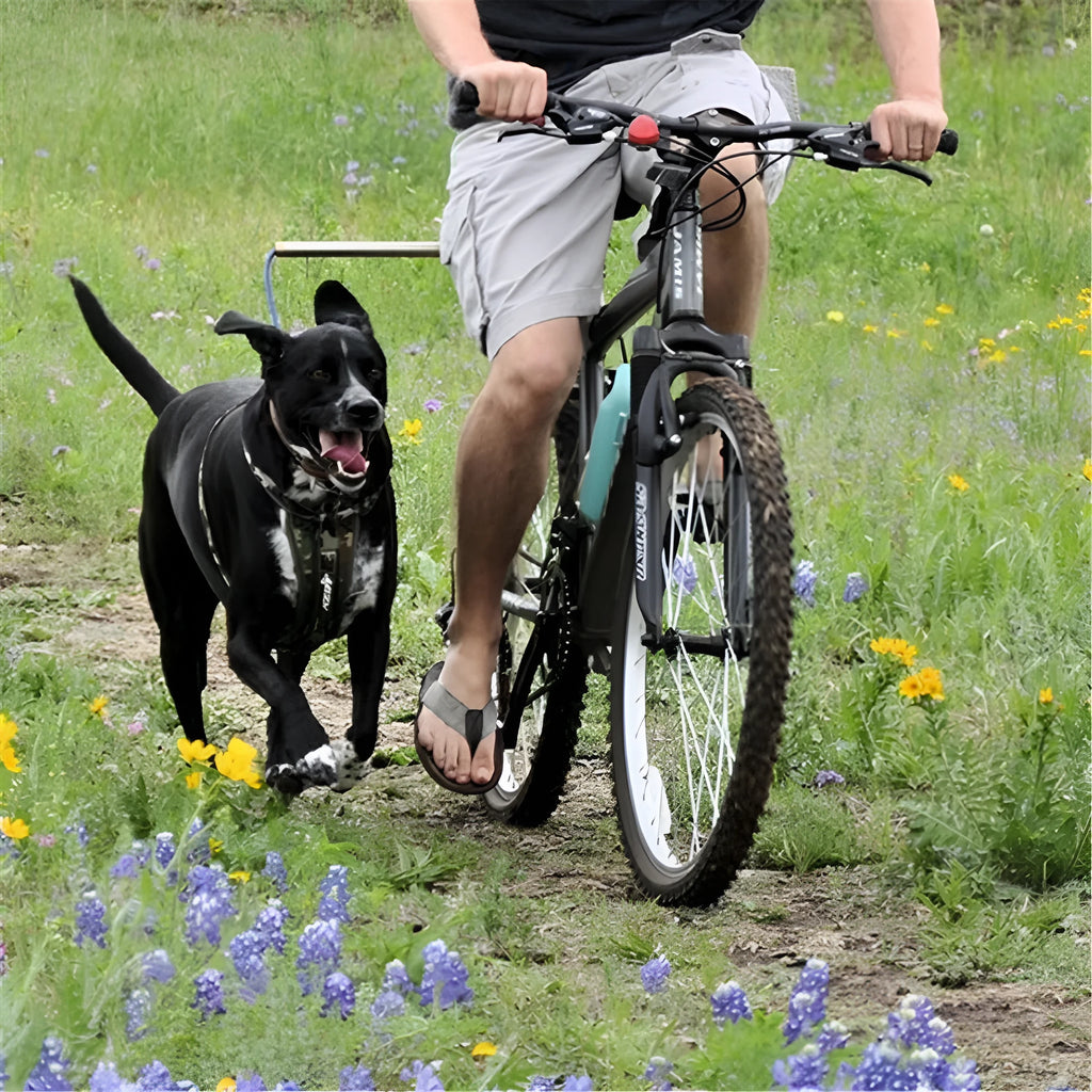 Black bicycle dog walker attachment with detachable dog chain and harness, 24 x 15 inch hard frame, 120kg load capacity