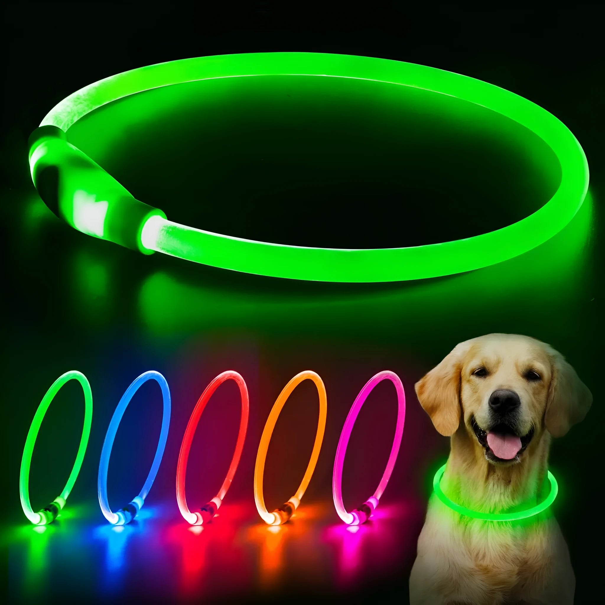 Blue USB rechargeable LED dog collar glowing around dog's neck with adjustable 70cm length