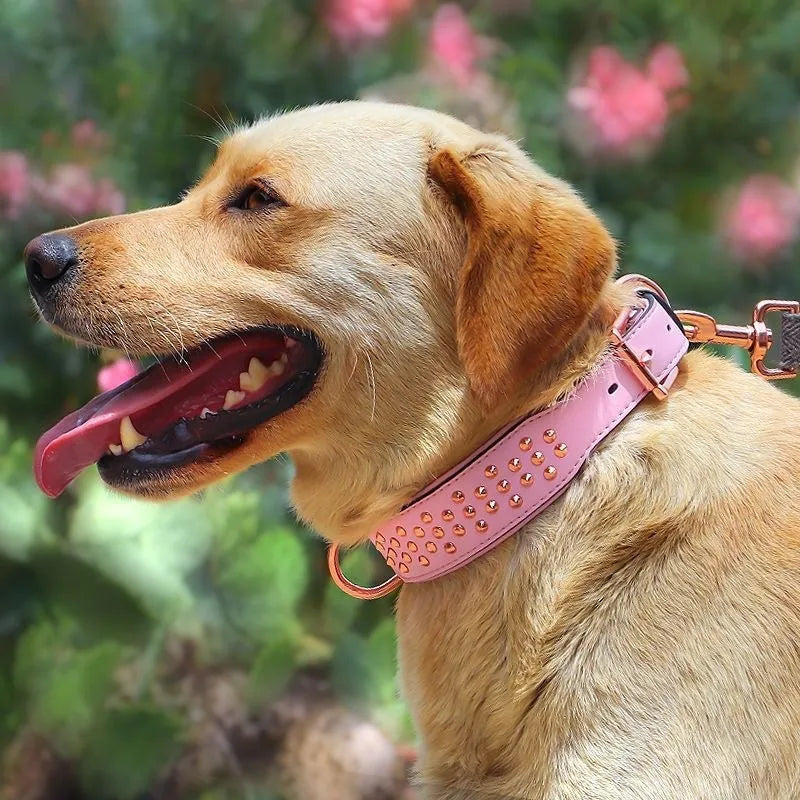 Leather dog collar with metal rivets in black, chocolate brown, or pink colour