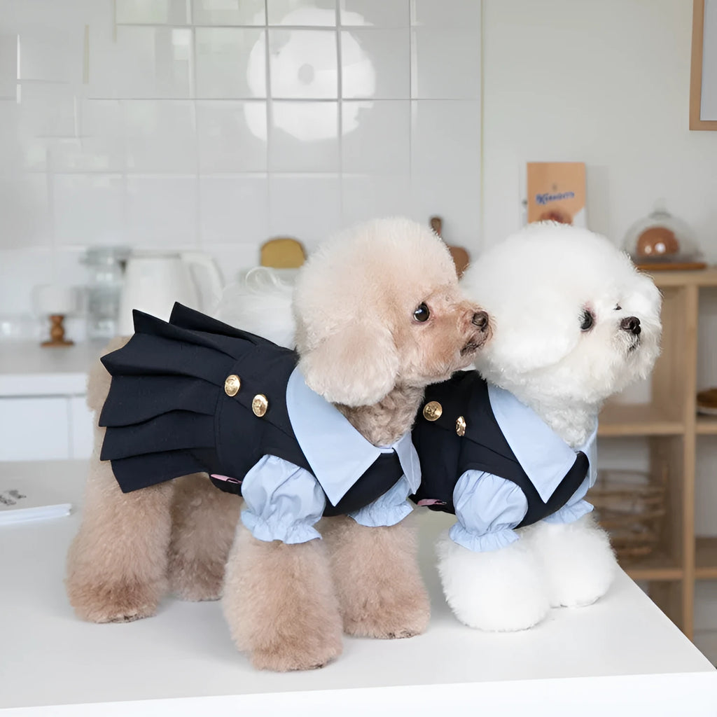 Dark grey polyester dog clothing shown in casual style on mannequin