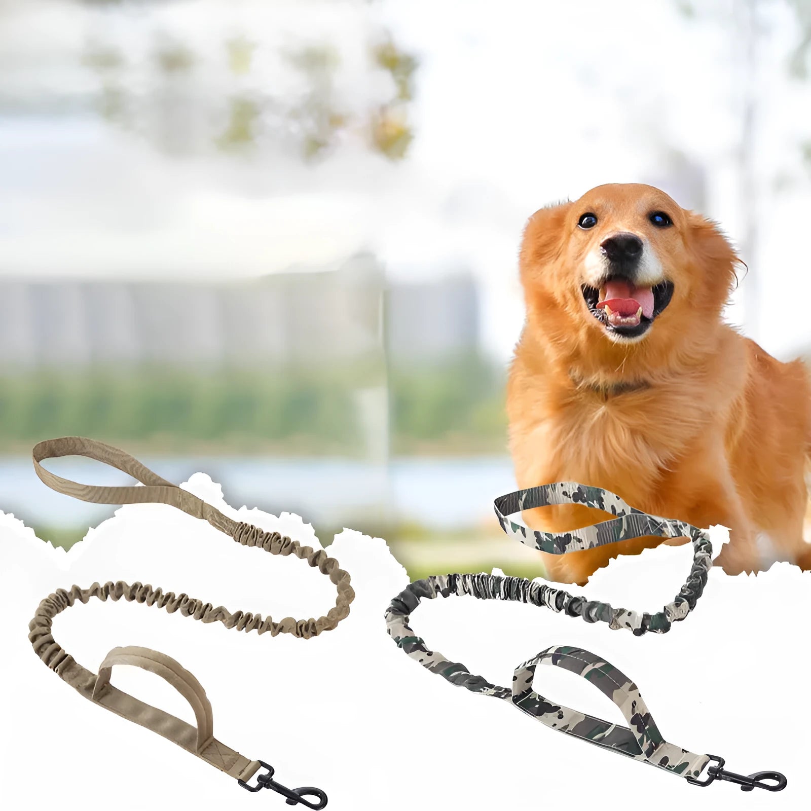 Tactical dog leash and matching collar in heavy-duty nylon with reflective stitching, available in four colour options for medium to large dogs