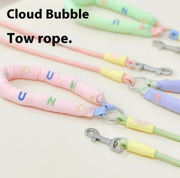 Polyester dog leash 150cm long in pink, green, purple, and raspberry powder colour options for small medium large dogs