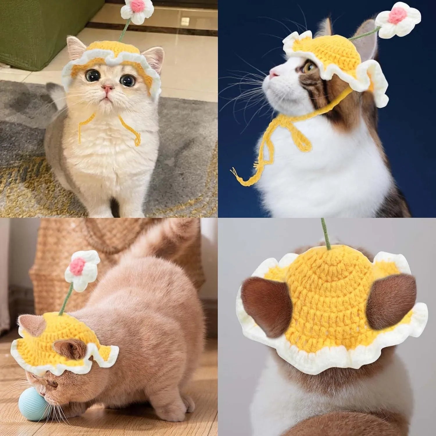 Green knitted cat hat with cartoon design on a pet
