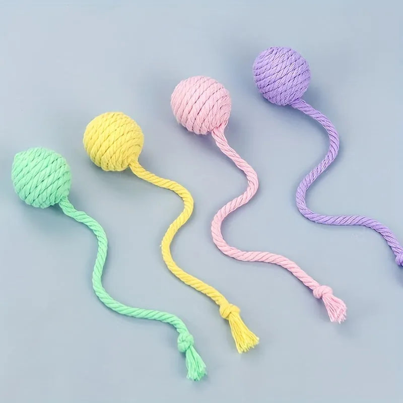 Colourful cat toy ball with attached rope and internal bell for kitten play