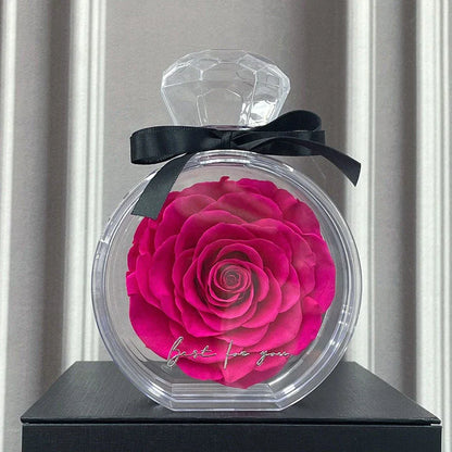 Elegant preserved dried floral ornaments in a transparent display case, available in a variety of vibrant colors