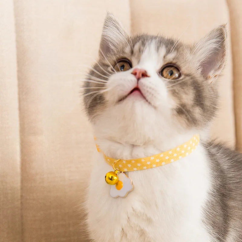 Green adjustable cat collar with silver bell and matching bow tie on a small dog