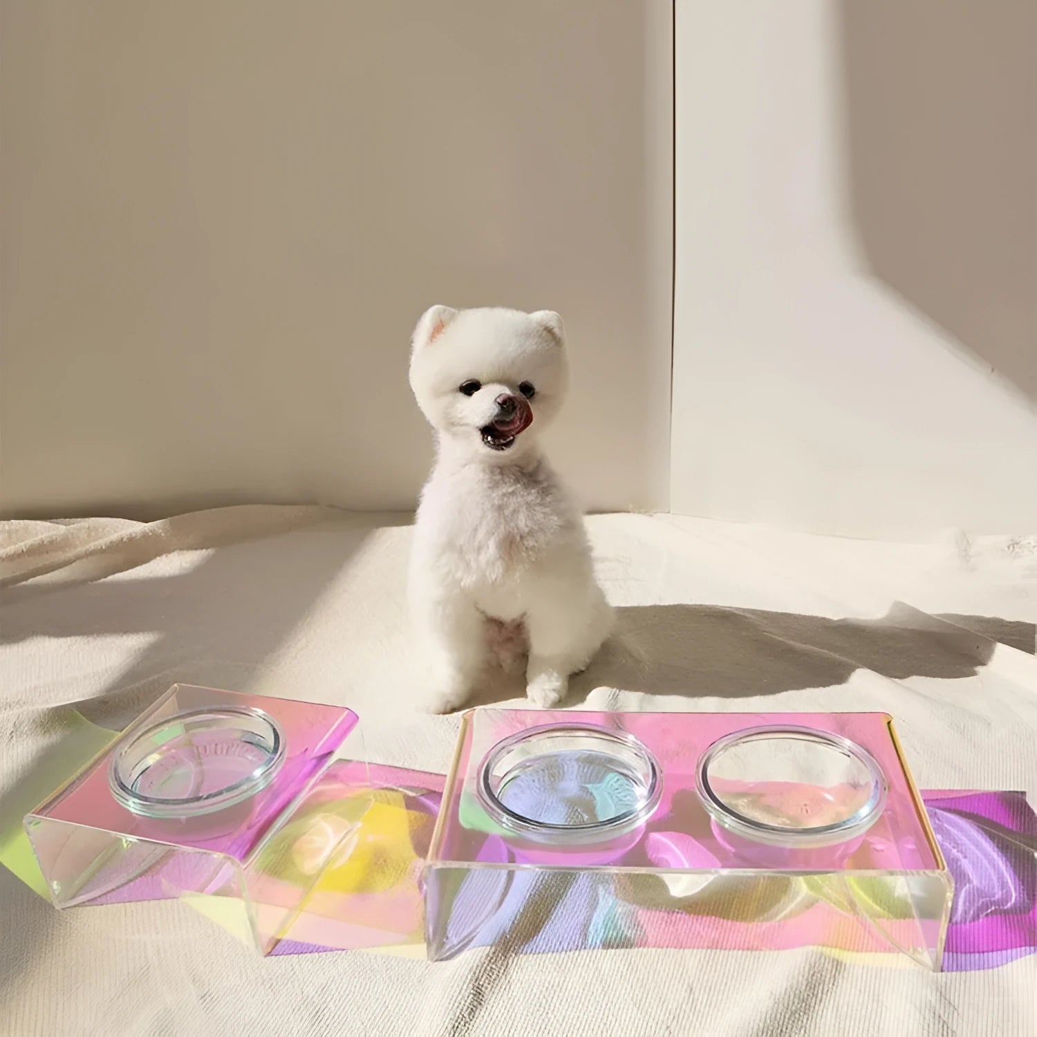 Pet Rainbow Bowl acrylic pet feeder with holographic finish and glass bowl for cats and small dogs