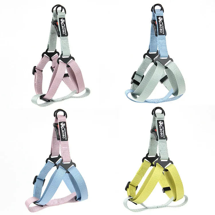 Nylon dog breast strap with hand holding rope in green blue colour on a white background