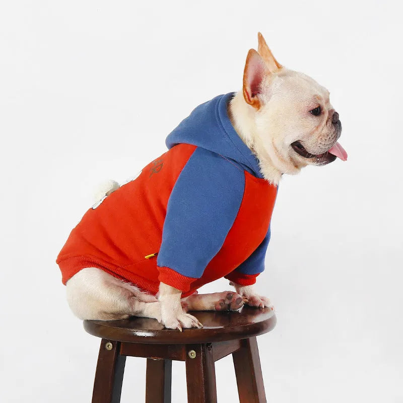 Red cotton dog jumper shown on a small to medium-sized dog, suitable for breeds like Teddy or Bichon.