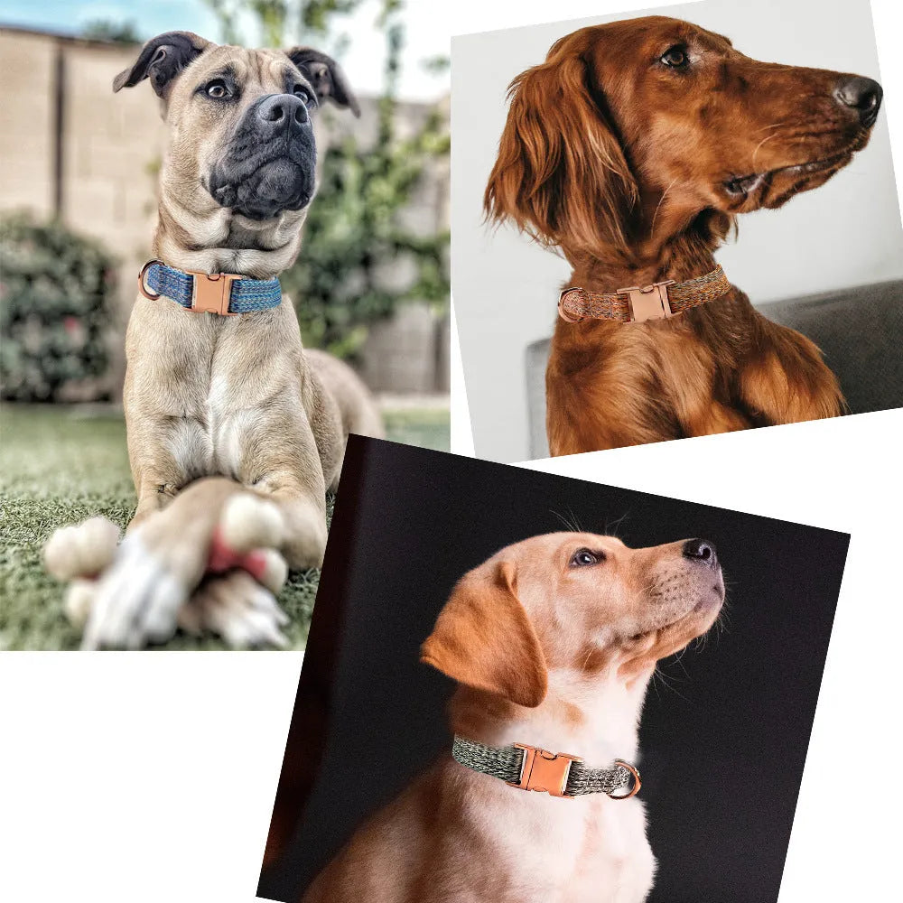 Nylon dog collar and lead set with engraved lettering and anti lost collar in blue, grey, orange, or pink, sizes XS to L