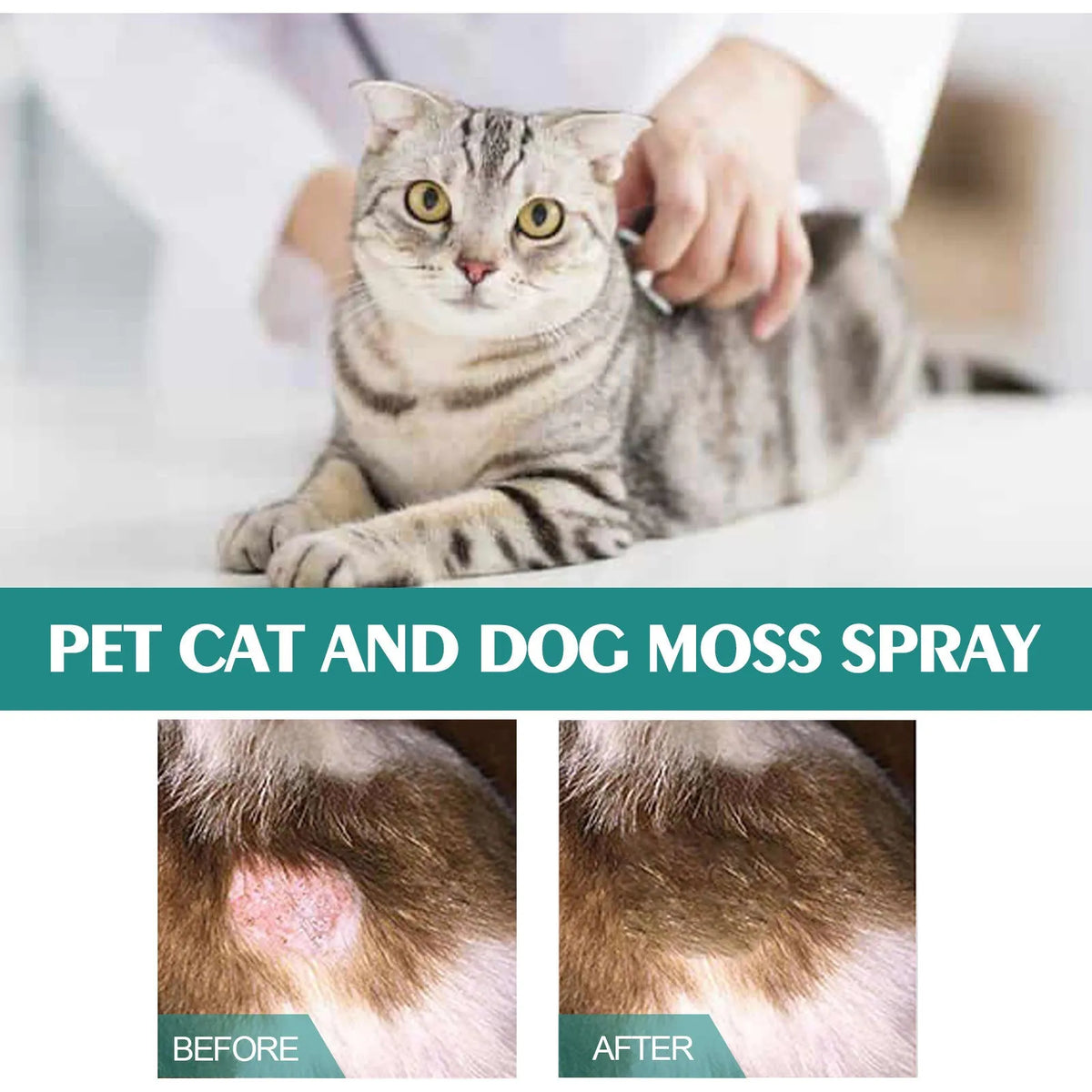 30ml pet cat dog moss spray bottle with kuh-Seng, Guanzhong, and aloe extracts for mite removal and anti-itching