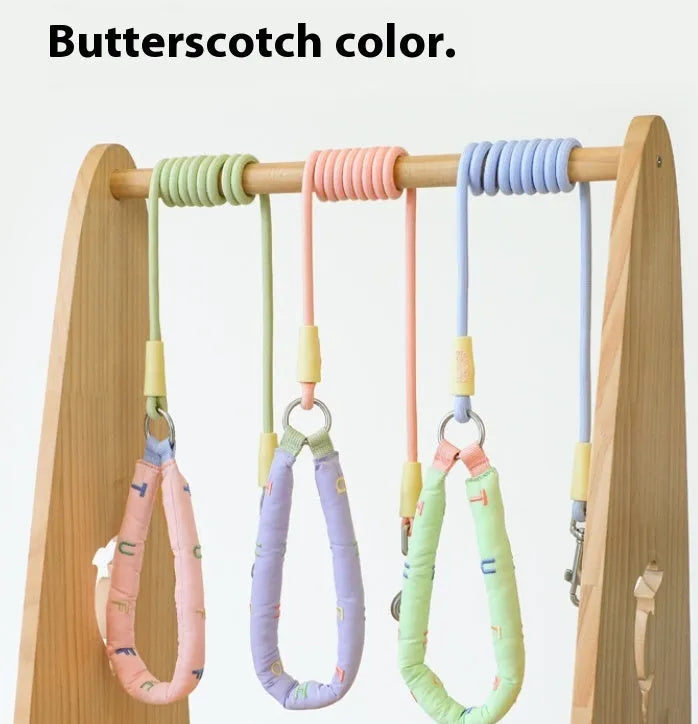 Polyester dog leash 150cm long in pink, green, purple, and raspberry powder colour options for small medium large dogs