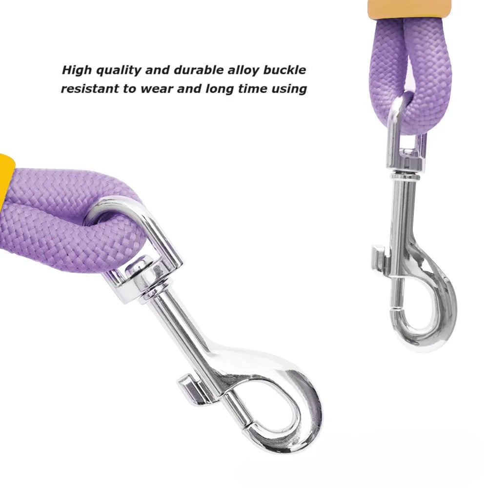 Nylon dog traction leash with a black foam handle on a coloured rope.