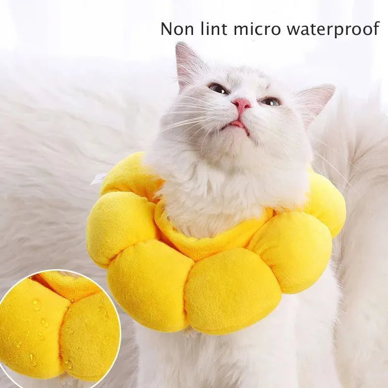 Sunflower patterned cotton recovery collar for a cat or small dog, shown with adjustable hook-and-loop strap.