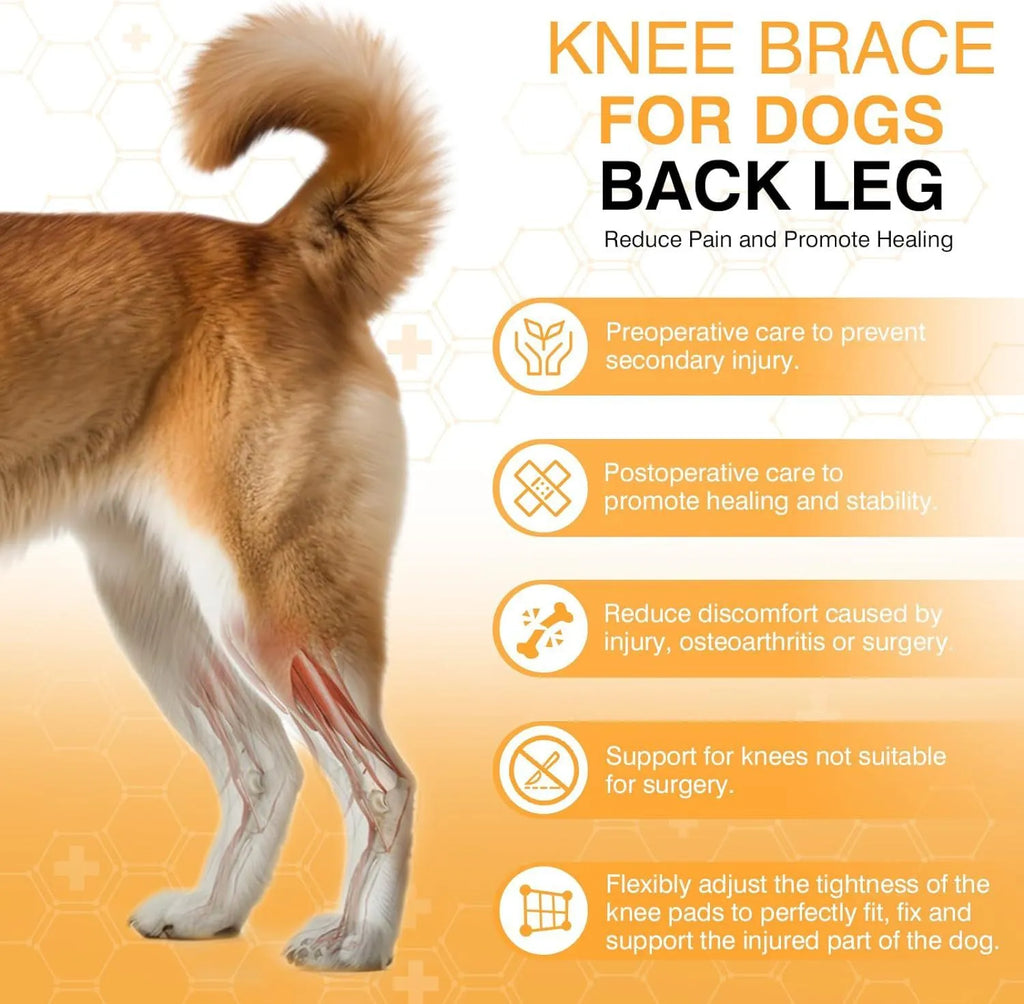 Dog leg protector knee brace with auxiliary belt elastic bandage for joint support