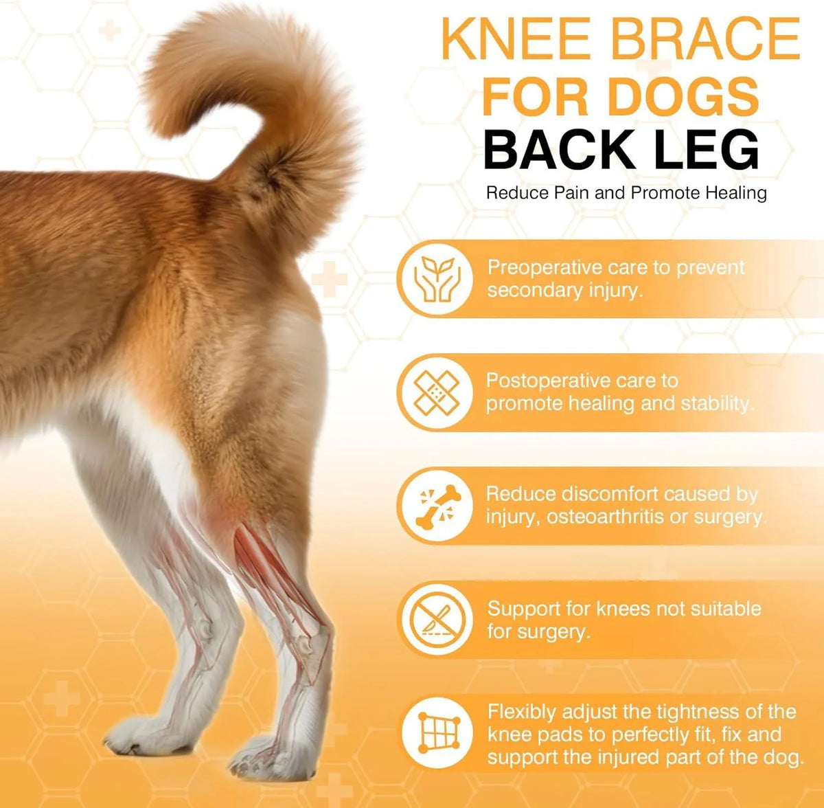 Dog leg protector knee brace with auxiliary belt elastic bandage for joint support