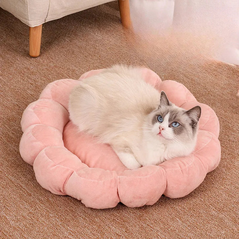 Blue half-surrounded petal design plush pet bed measuring 50x50cm for cats and small dogs
