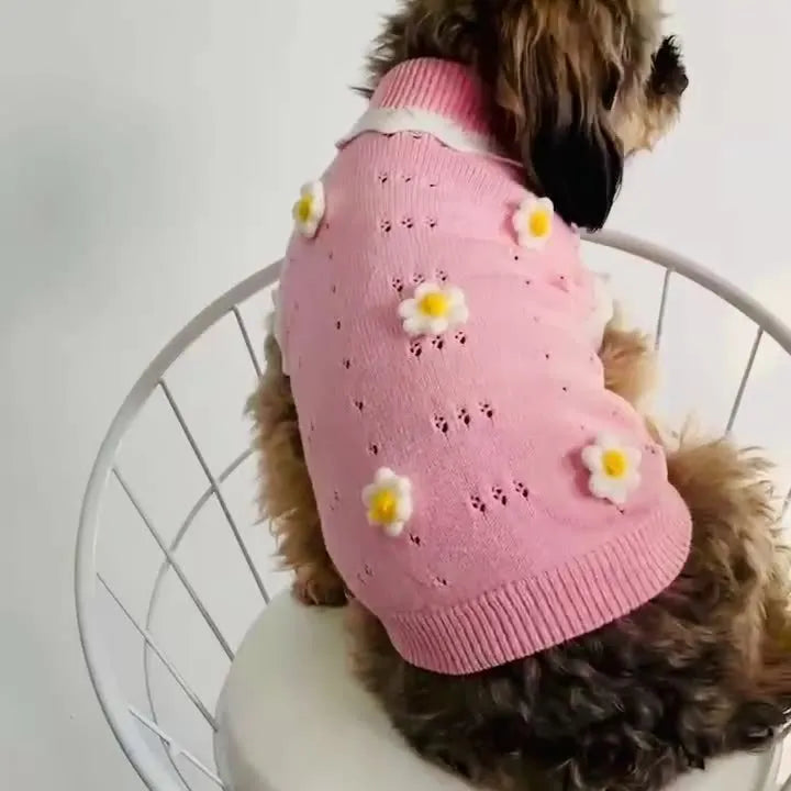 Pink knitted dog sweater with a flower blossom pattern, shown on a small dog.