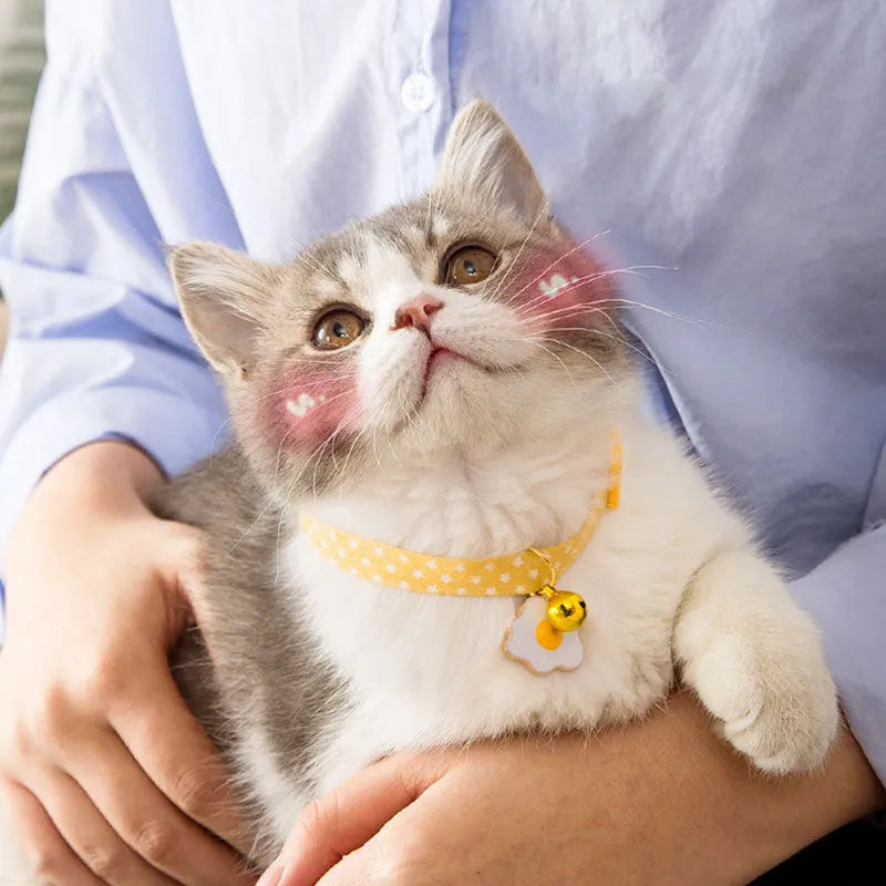 Green adjustable cat collar with silver bell and matching bow tie on a small dog