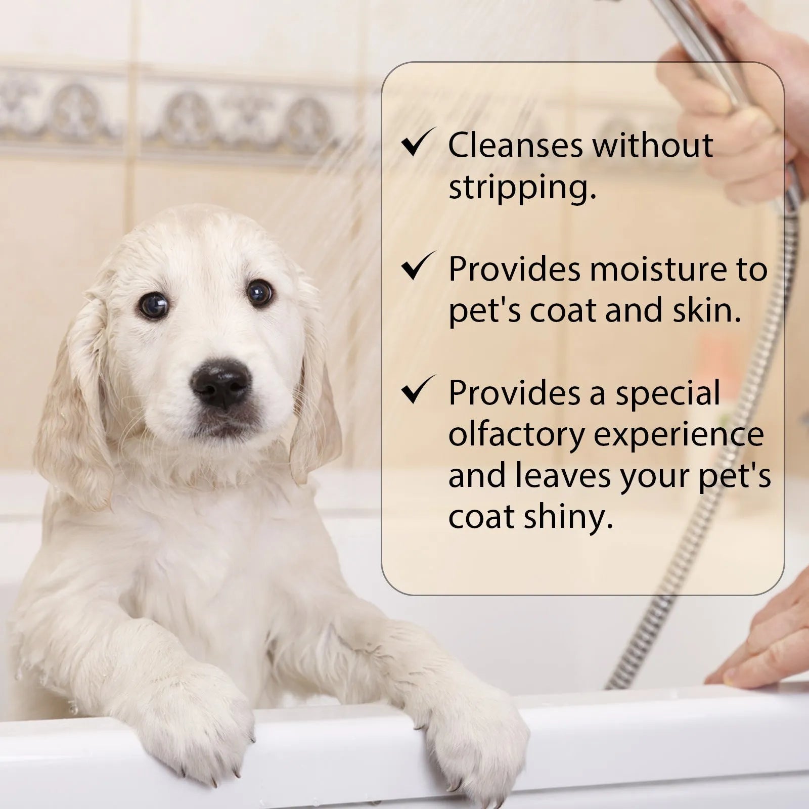 Mild dog shampoo bottle in 100ml and 300ml sizes for pet grooming and tangle reduction