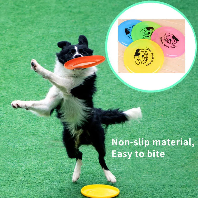 Silicone flying saucer dog toy in assorted colour, 20cm diameter disc for fetch and training