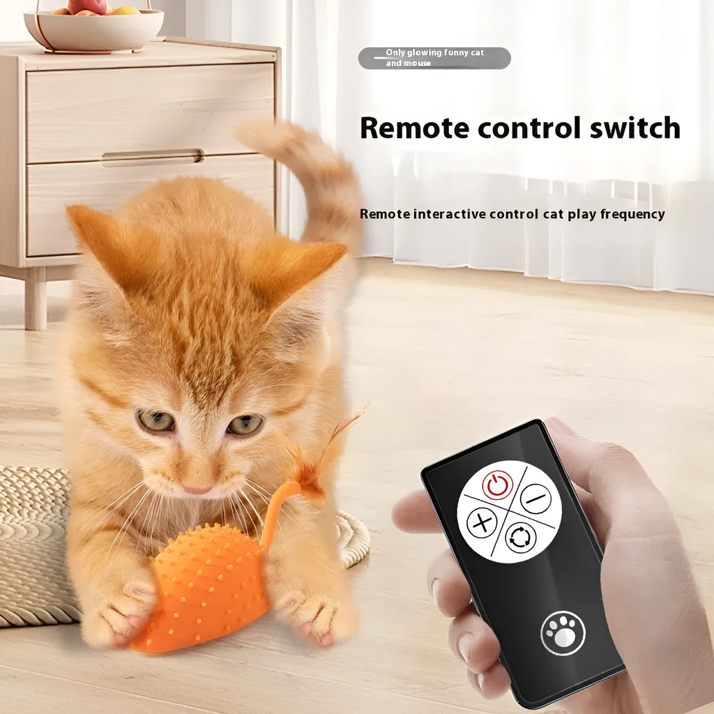 Remote control silicone mouse cat toy with feather attachment in three colour options