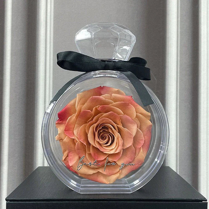 Elegant preserved dried floral ornaments in a transparent display case, available in a variety of vibrant colors