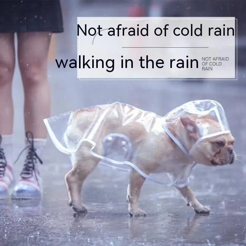 Pet raincoat for small dog, plastic waterproof coat in blue, with pull-on design, available in sizes XS to 8XL