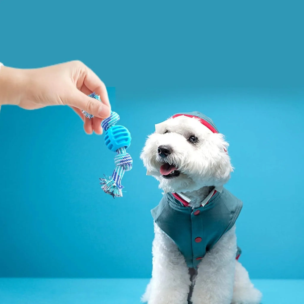 Blue dog chew toy with rope strands and molar cleaning textured surfaces