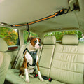 Orange nylon pet safety belt dual-purpose car lanyard and traction belt for dogs and cats