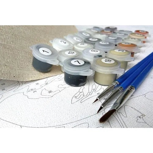 Scared or Surprised cat painting by numbers DIY kit with canvas, acrylic paints, and brushes