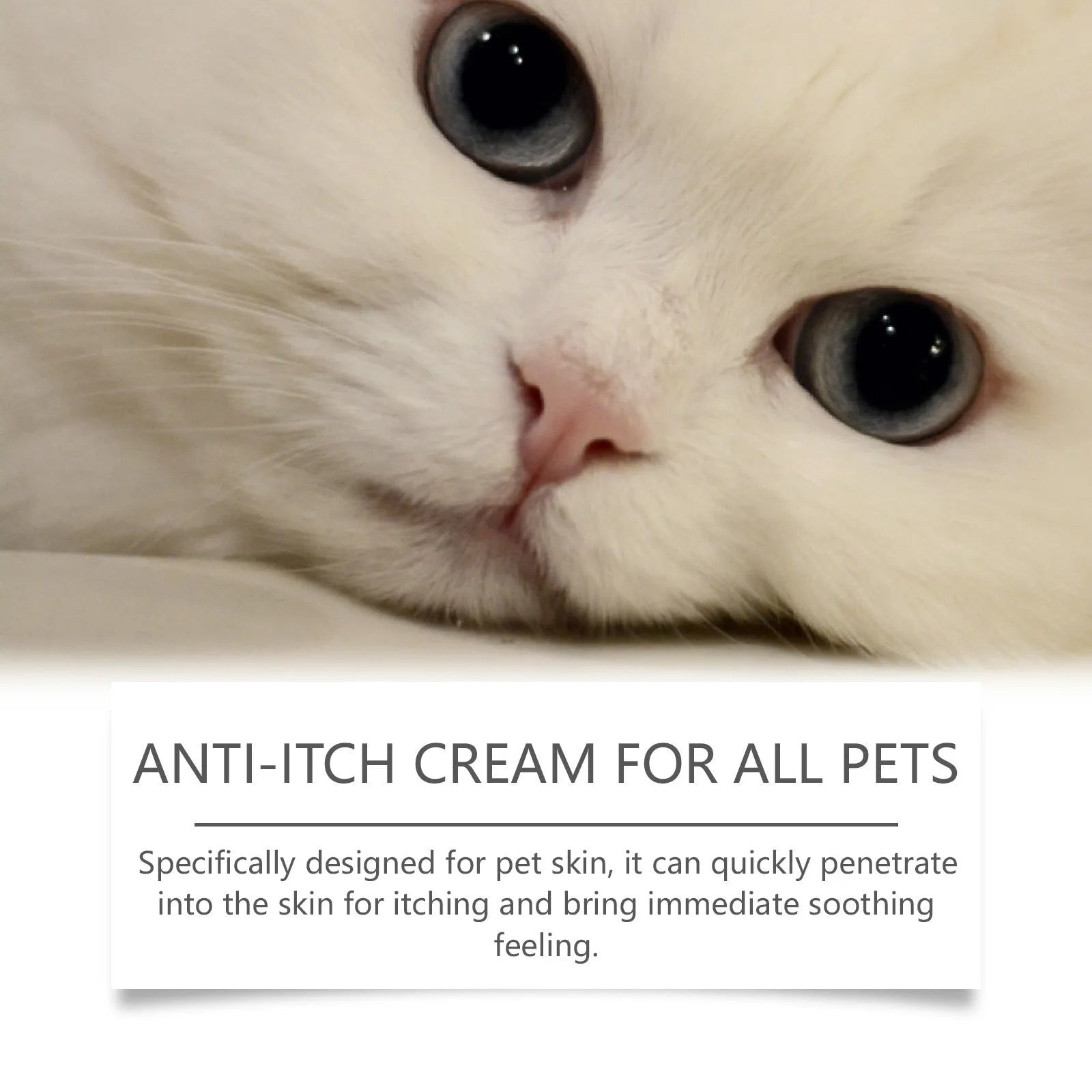 60g tube of pet antipruritic cream for cats with natural extracts.