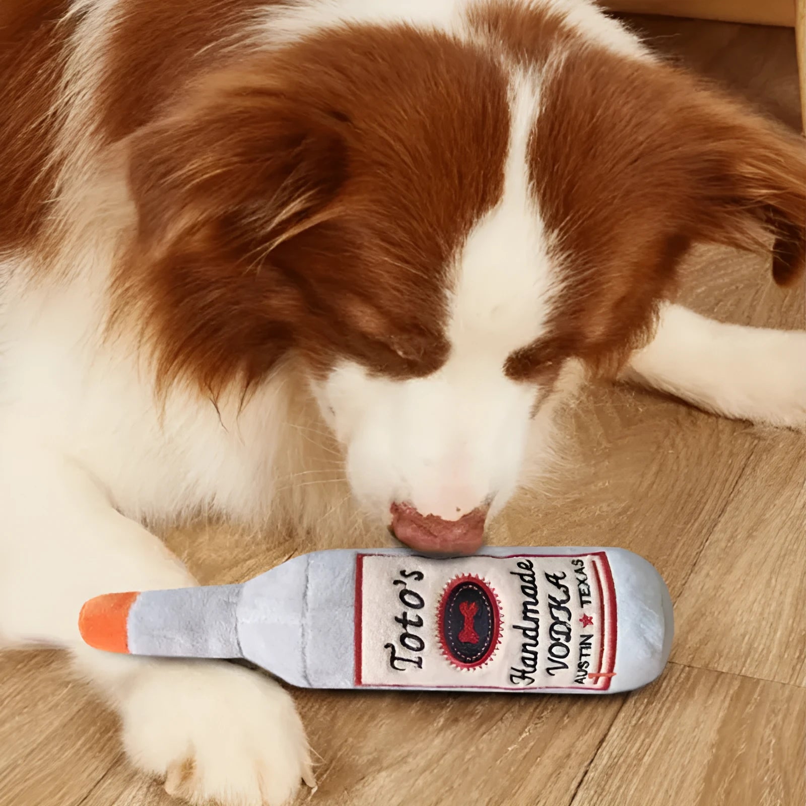 Brown plush wine bottle shaped dog toy with textured molar surface and squeaker