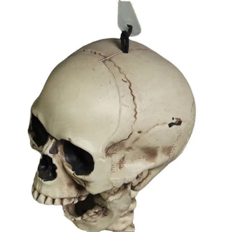 170cm tall plastic skeleton prop with detailed skull and bone structure